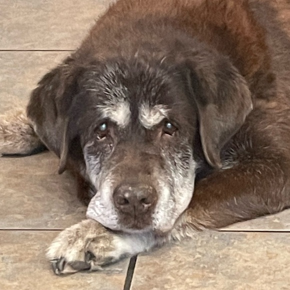 Meet your Posher, Angela - Picture 16 of 16